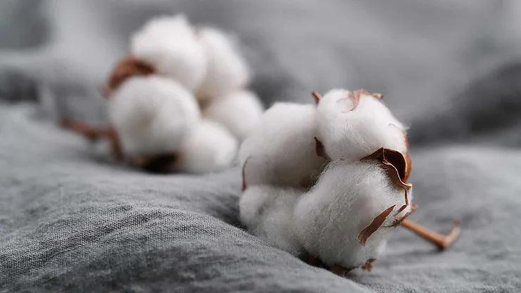 Unterrichtsmaterial: Fast Fashion VS. Fair Fashion