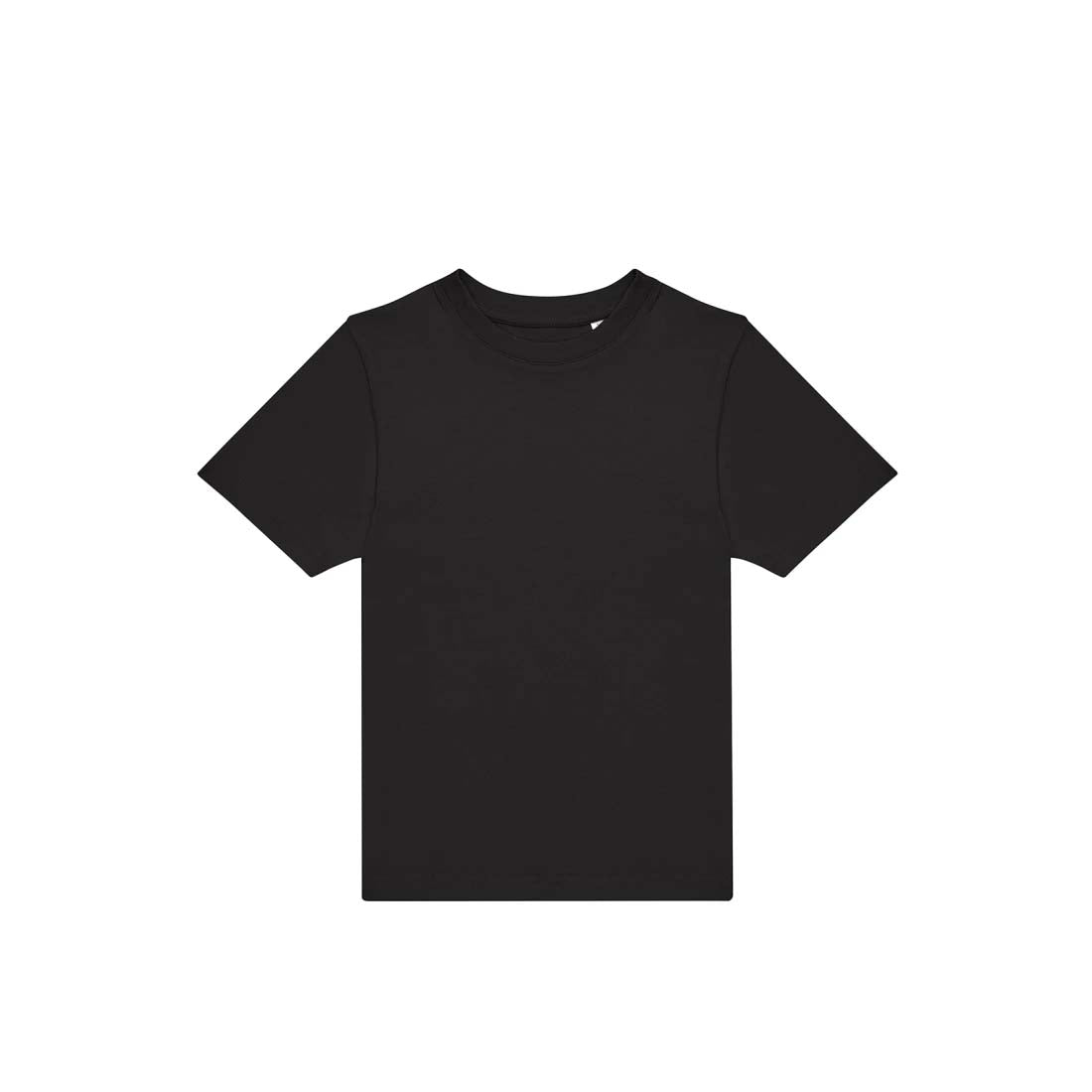 PGB Bad Buchau Organic Regular Kids T-Shirt (B&C)