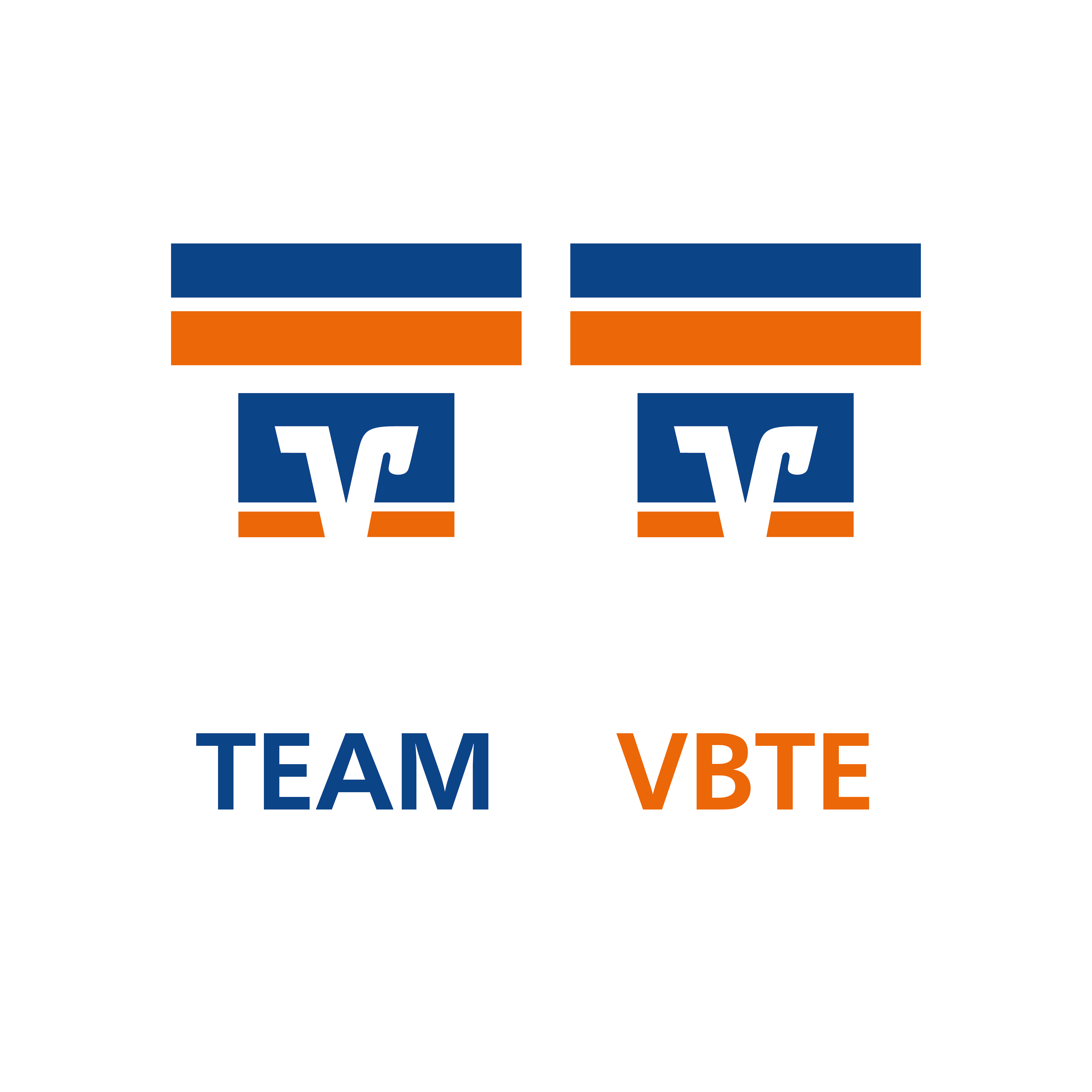 Volksbank Trier-Eifel LYTD® Tennis Socken (Bulk Order)