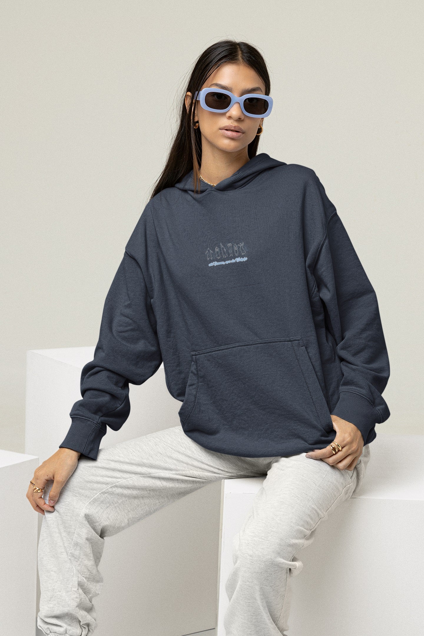 FWS Bremen AK25 Organic Oversized Hoodie (Neutral)